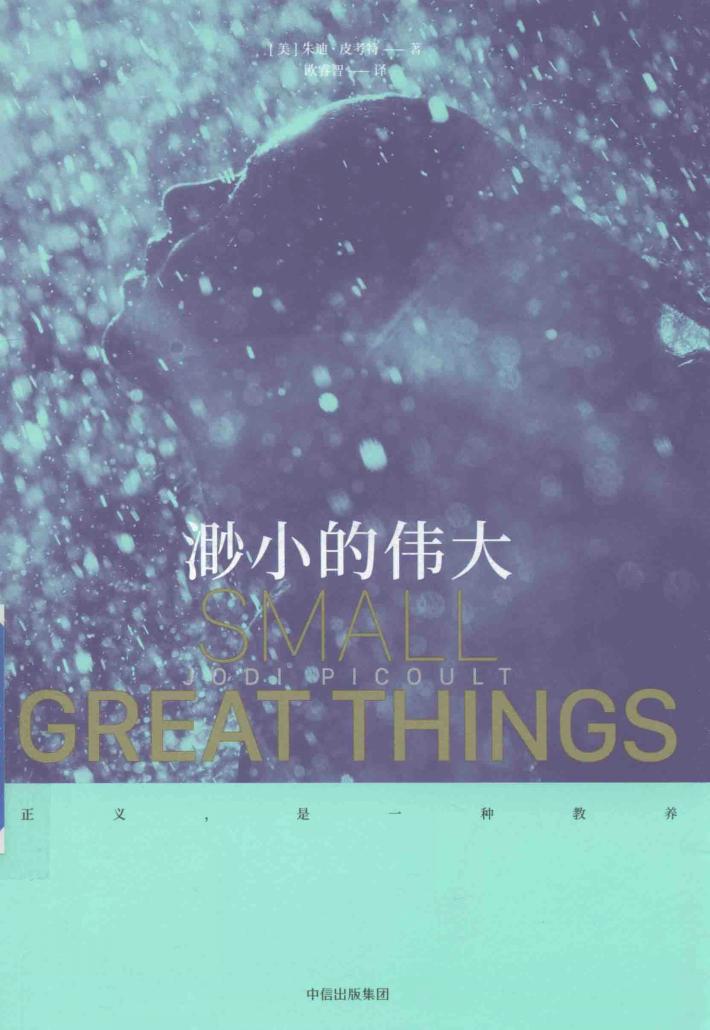 渺小的伟大 封面