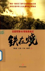 铁在烧  志愿军第63军铁原战记 封面