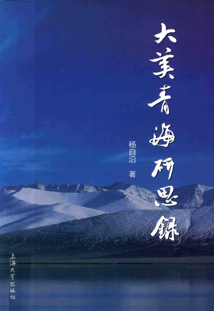 大美青海研思录 封面