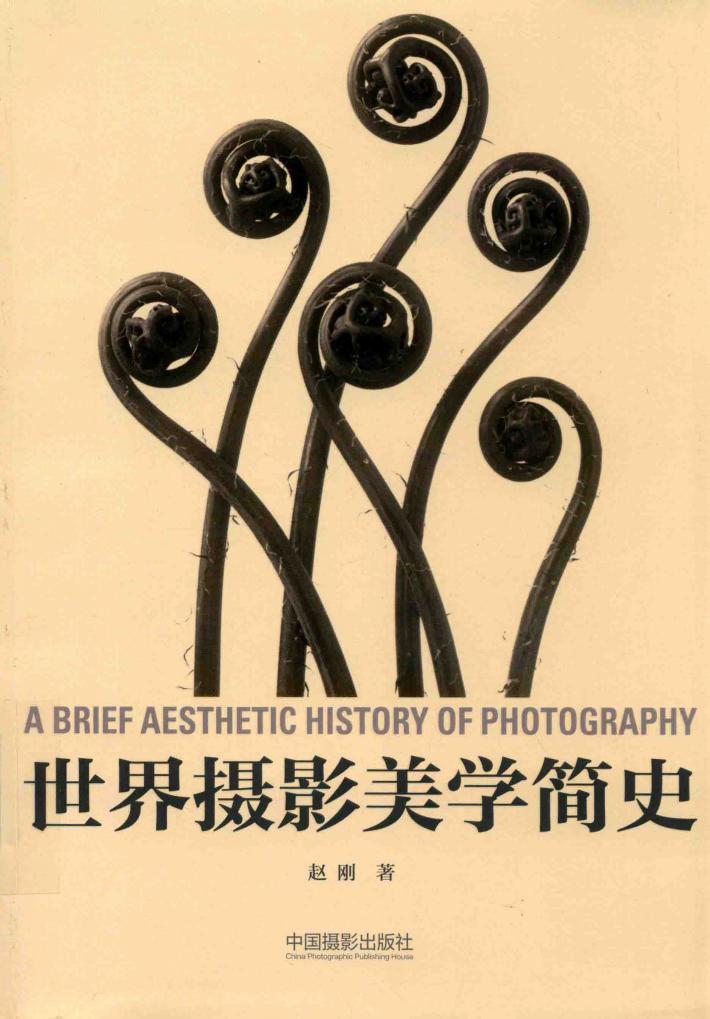 世界摄影美学简史 封面