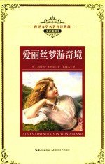 爱丽丝梦游奇境 封面