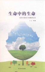 生命中的生命  如何关爱孩子的精神生命 封面