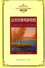 这里的黎明静悄悄 封面