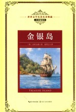 金银岛 封面
