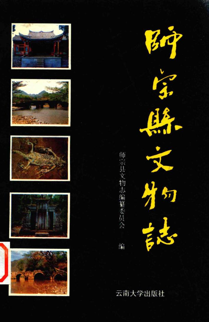 师宗县文物志 封面