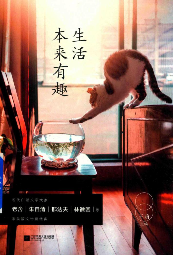 生活本来有趣 封面