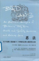 恶法 关于英国工党执政十三年期间法律之爆炸性分析 封面