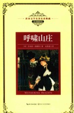 呼啸山庄 封面