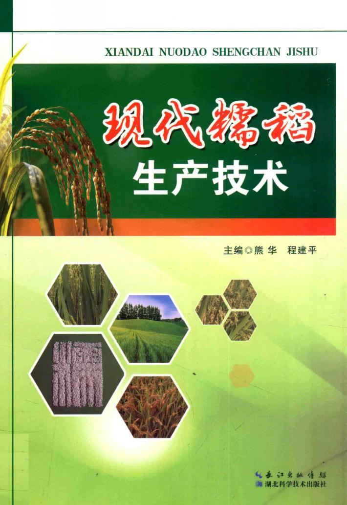 现代糯稻生产技术 封面