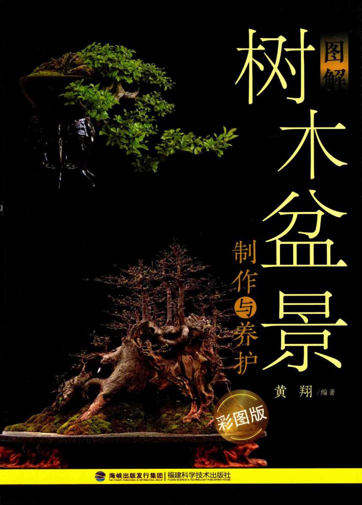图解树木盆景制作与养护 彩图版 封面