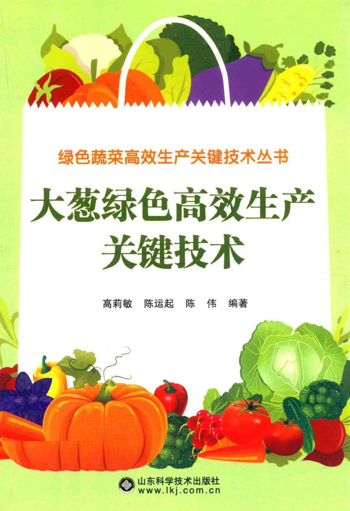 绿色蔬菜高效生产关键技术丛书  大葱绿色高效生产关键技术 封面
