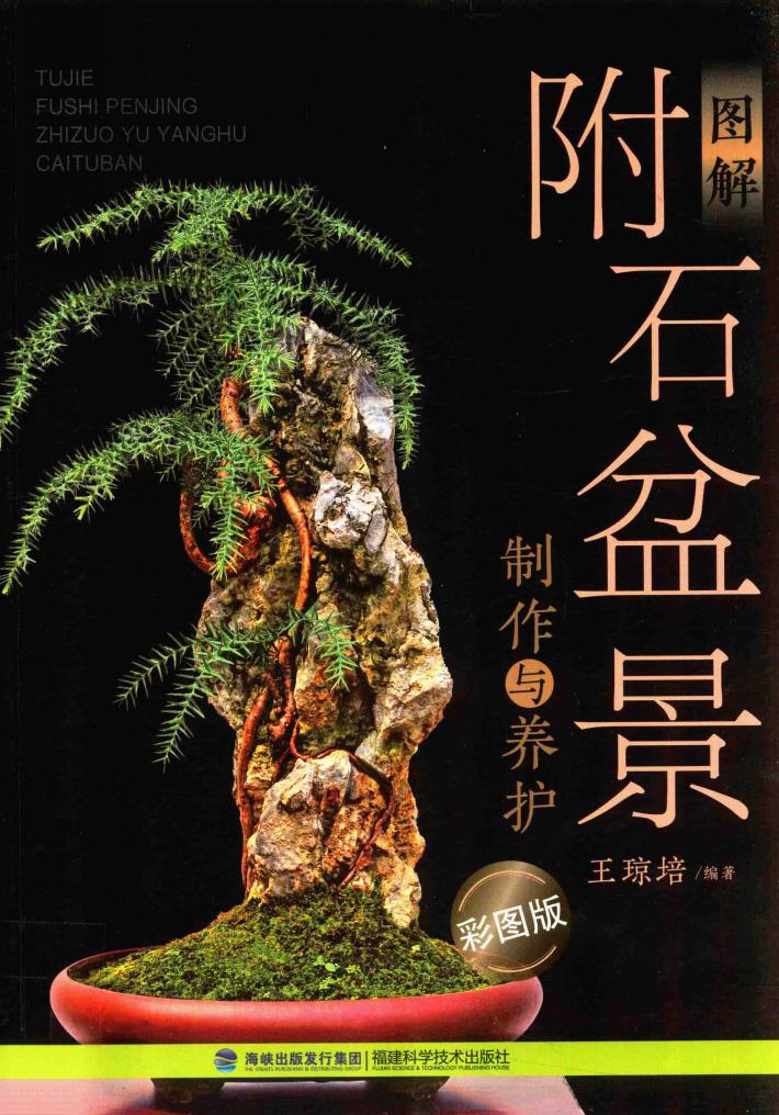图解附石盆景制作与养护  彩图版 封面
