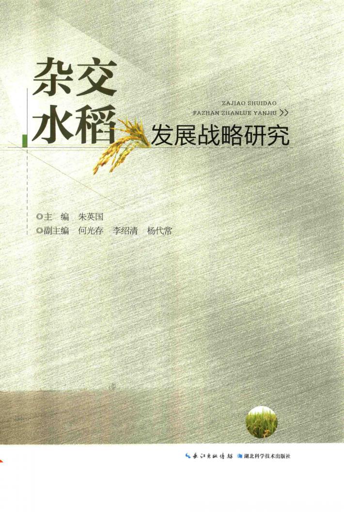 杂交水稻发展战略研究 封面