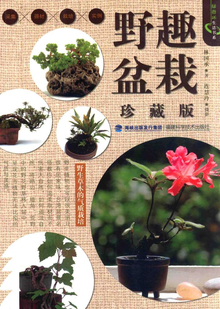 野趣盆栽  珍藏版 封面