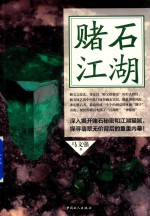 赌石江湖 封面