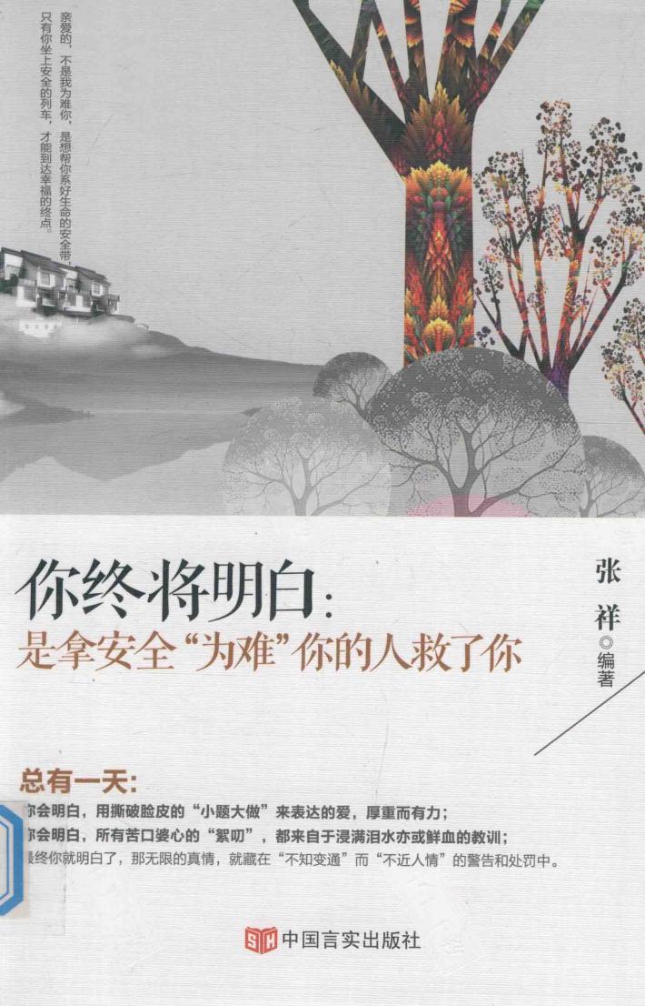 你终将明白 是拿安全“为难”你的人救了你 封面