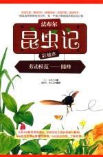 法布尔昆虫记彩绘本  劳动模范  隧蜂 封面