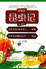 法布尔昆虫记  骁勇善战的捕食霸王  螳螂  草丛里的跳跃高手  蝗虫  彩绘本 封面