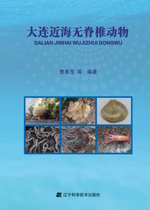 大连近海无脊椎动物 封面