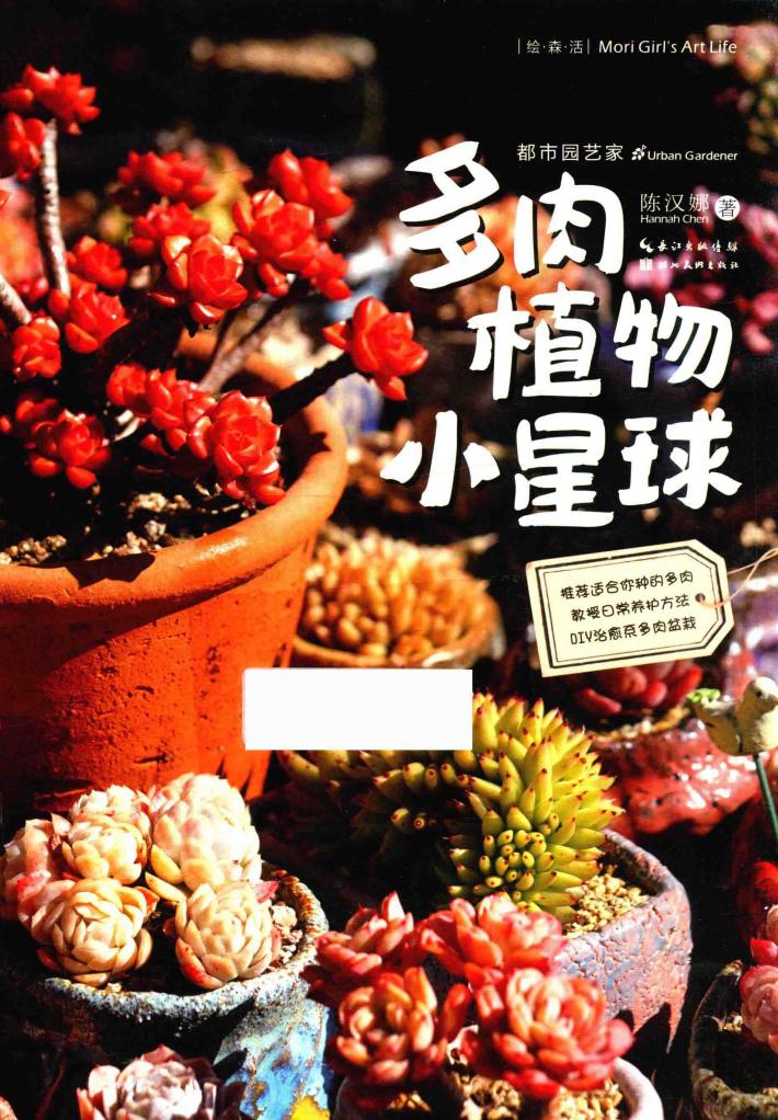 多肉植物小星球 封面