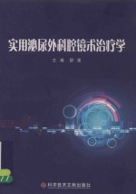 实用泌尿外科腔镜术治疗学 封面