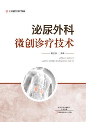 泌尿外科微创诊疗技术 封面