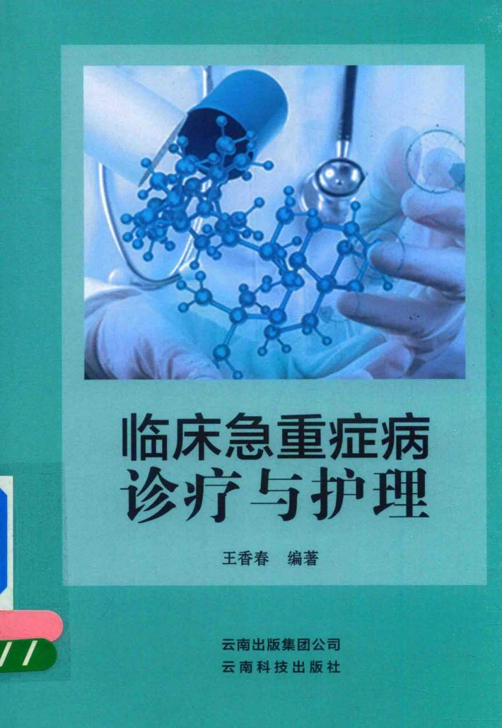 临床急重症病诊疗与护理 封面