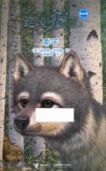 绝境狼王系列  影子  新新版 封面
