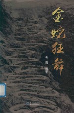 金蛇狂舞 封面
