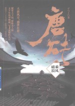 唐砖  5  乘风破浪 封面