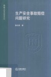 生产安全事故赔偿问题研究 封面