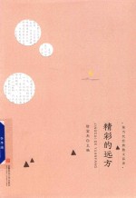 精彩的远方 封面