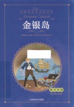 金银岛 封面