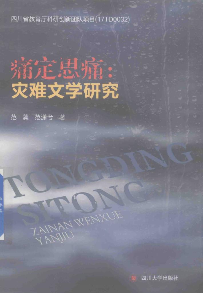 痛定思痛  灾难文学的研究 封面