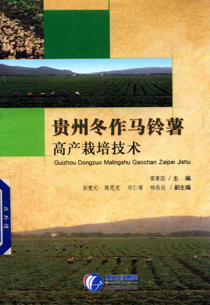 贵州冬作马铃薯高产栽培技术 封面