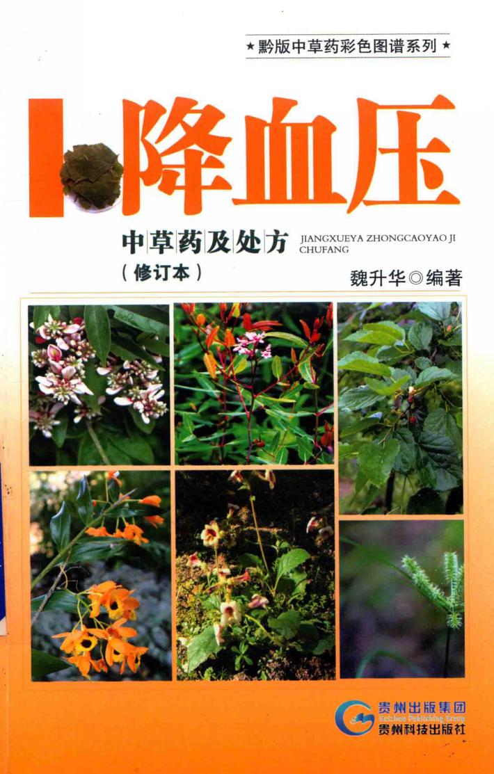 降血压中草药及处方  修订本 封面