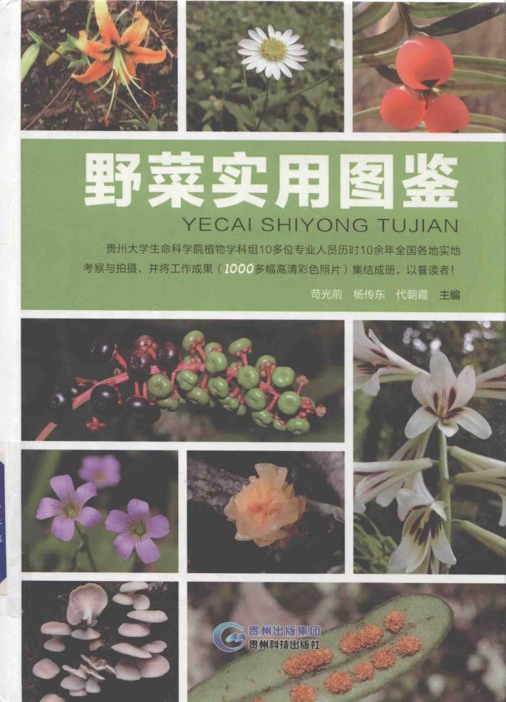 野菜实用图鉴 封面