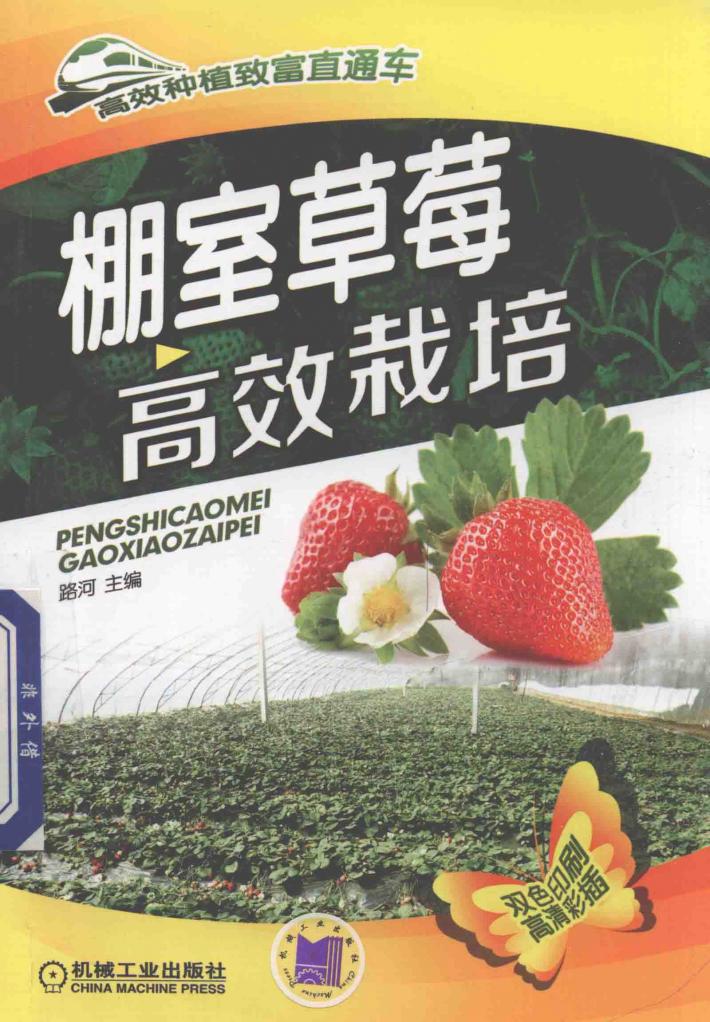 棚室草莓高效栽培