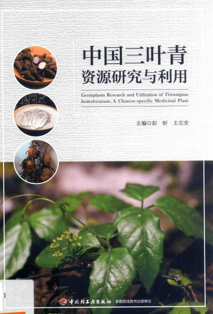 中国三叶青资源研究与利用 封面