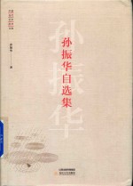 中国当代艺术批评文库 孙振华自选集 封面