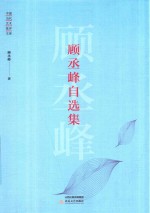 中国当代艺术批评文库 顾丞峰自选集 封面