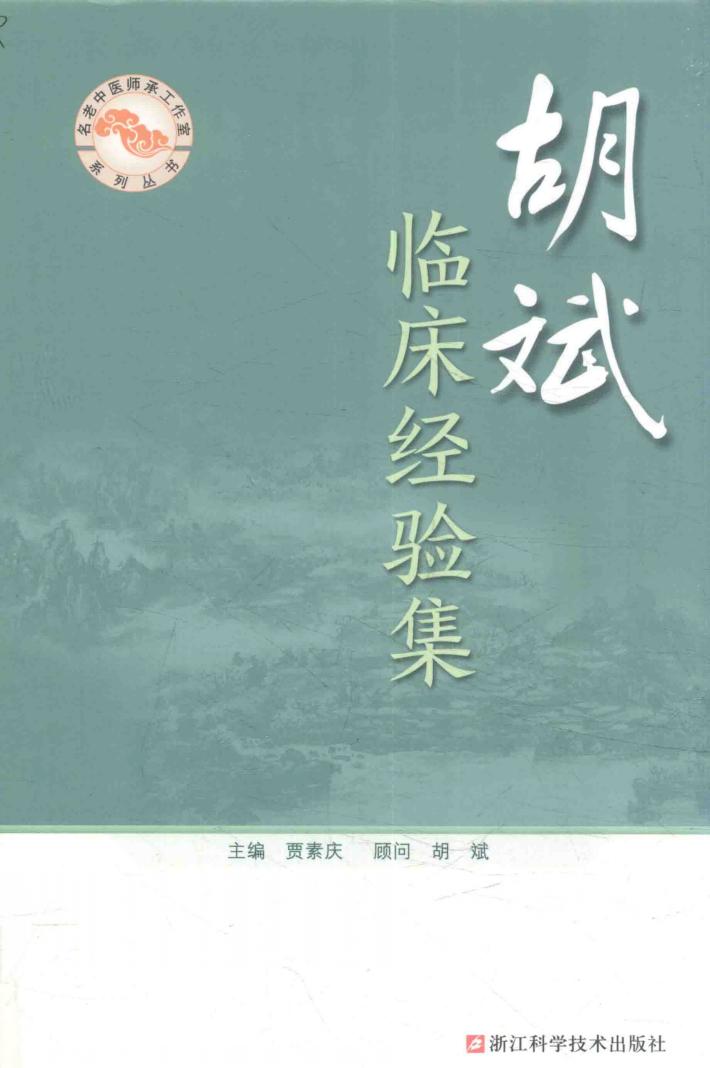 胡斌临床经验集 封面