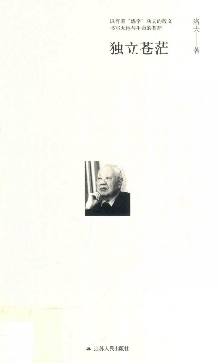 独立苍茫 封面