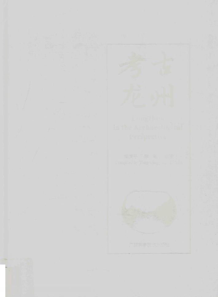 考古龙州 封面