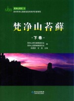 梵净山苔藓  下 封面