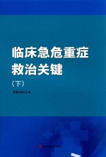 临床急危重症救治关键  下 电子书封面