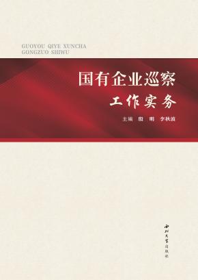国有企业巡查工作实务 封面