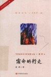 宿命的行走 封面