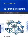 电力ERP系统运维管理 封面