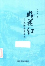 好花红  灵拂高原情怀 封面